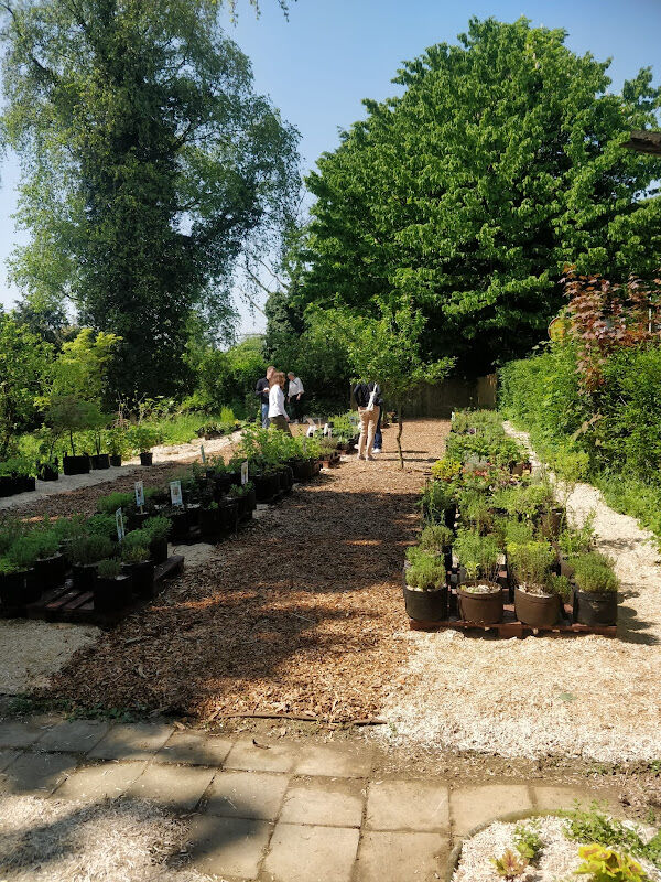 Foto van Plant Your Mood