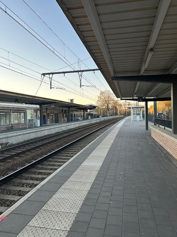 Foto van Torhout