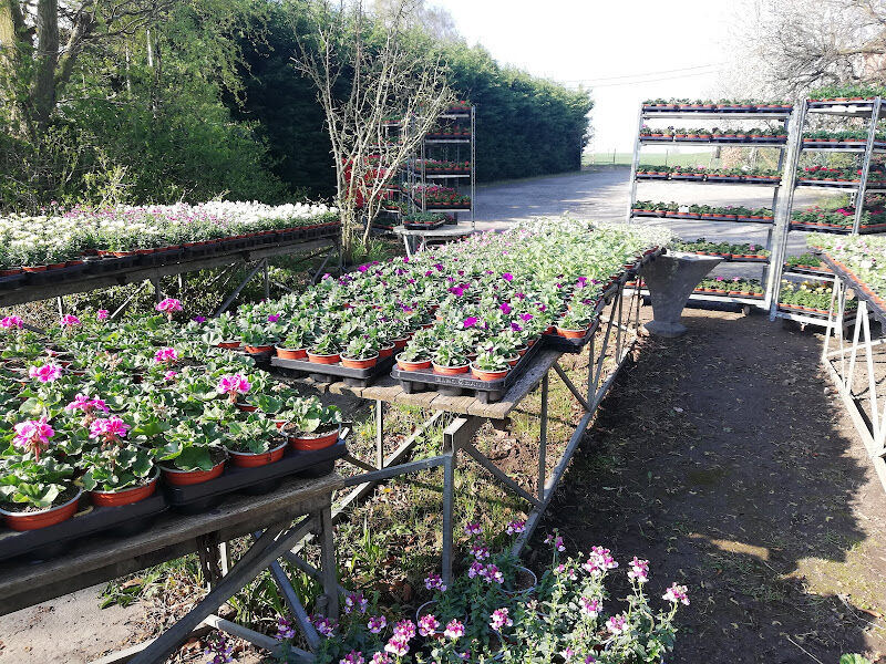 Foto van Green Garden Cvba
