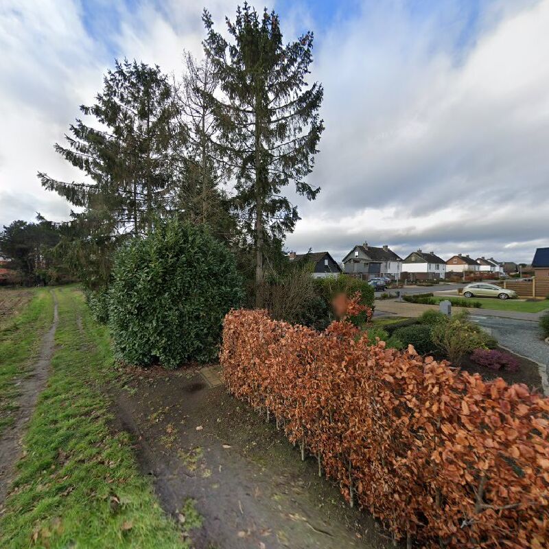 Foto van Speelterrein Mispelaar