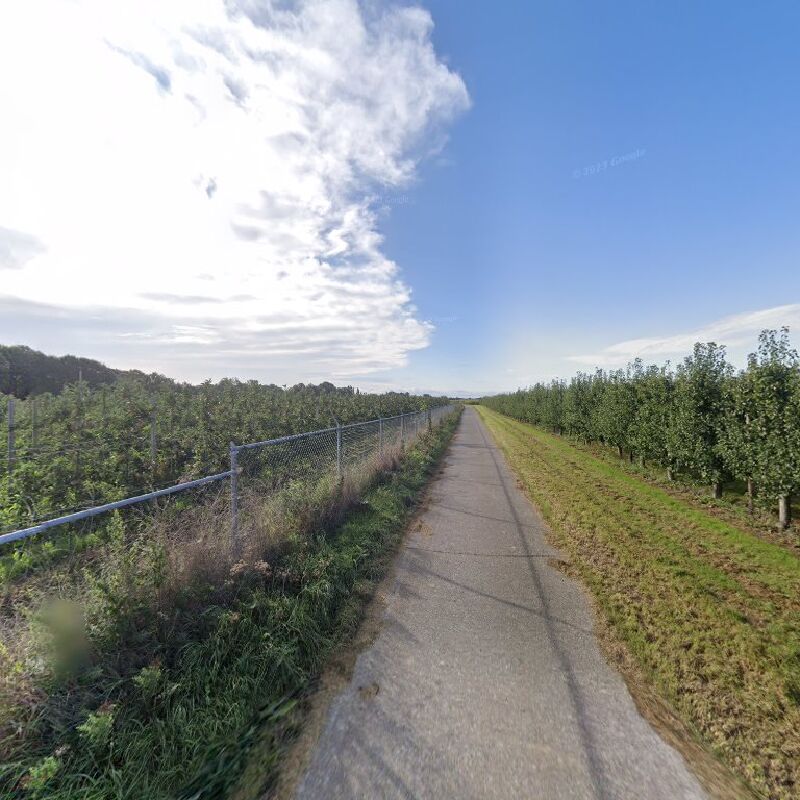 Foto van Frietjes bij Mattes