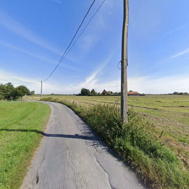 Foto van Transdema