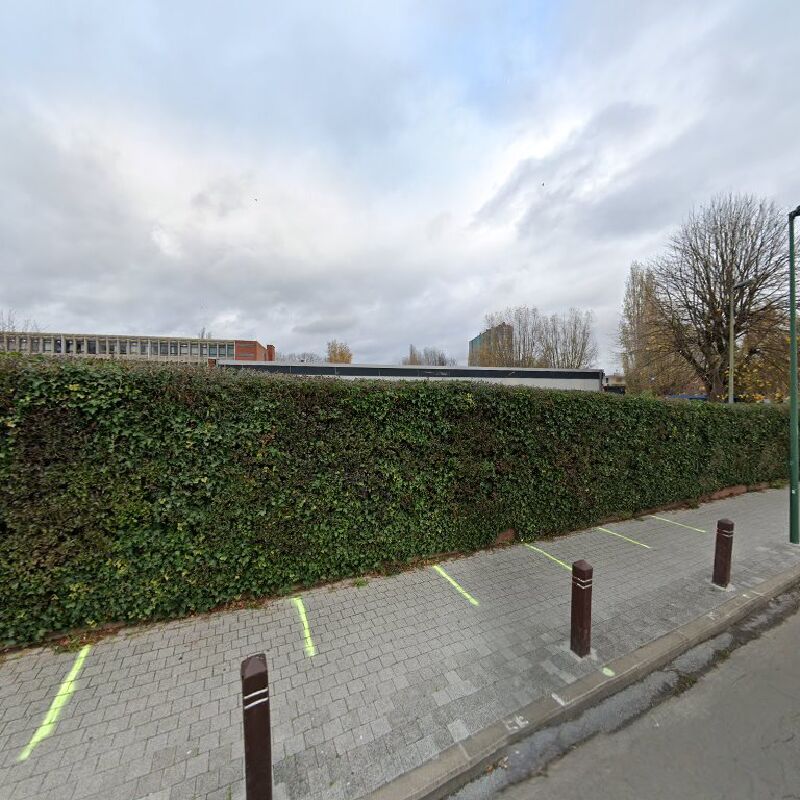 Foto van Sint-Jans-Molenbeek