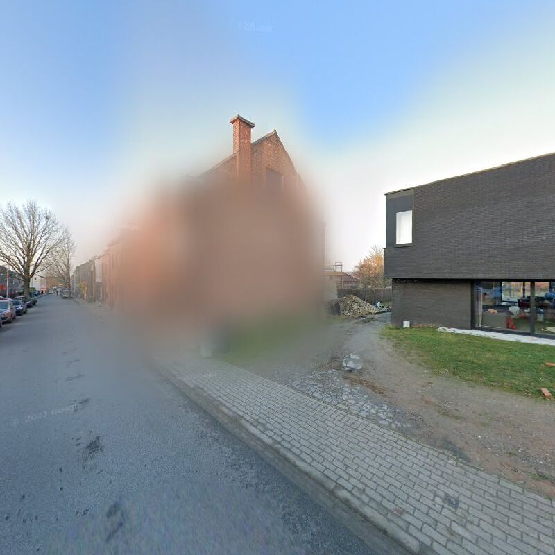 Foto van Roels Dries