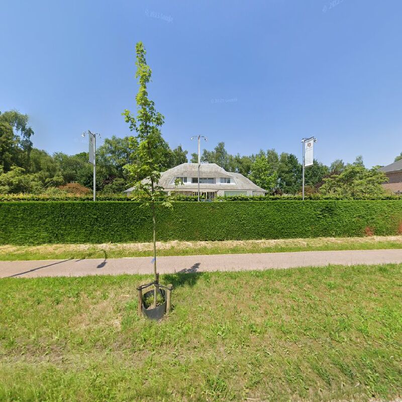 Foto van Villa Medici