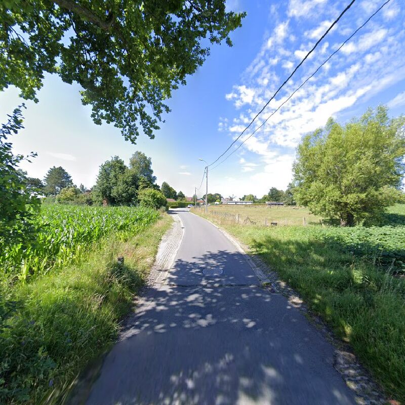 Foto van Kinderyogaliga