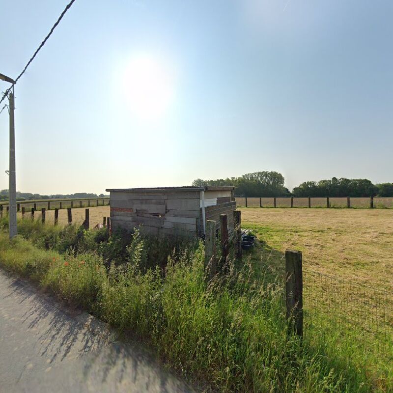 Foto van Dokter P. Vanhoenacker