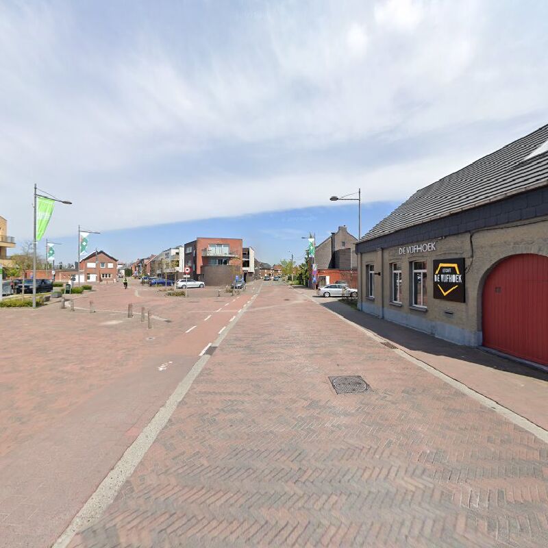 Foto van Steenhuyzen Alain