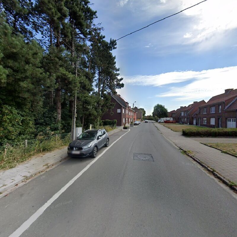 Foto van De kangoeroe