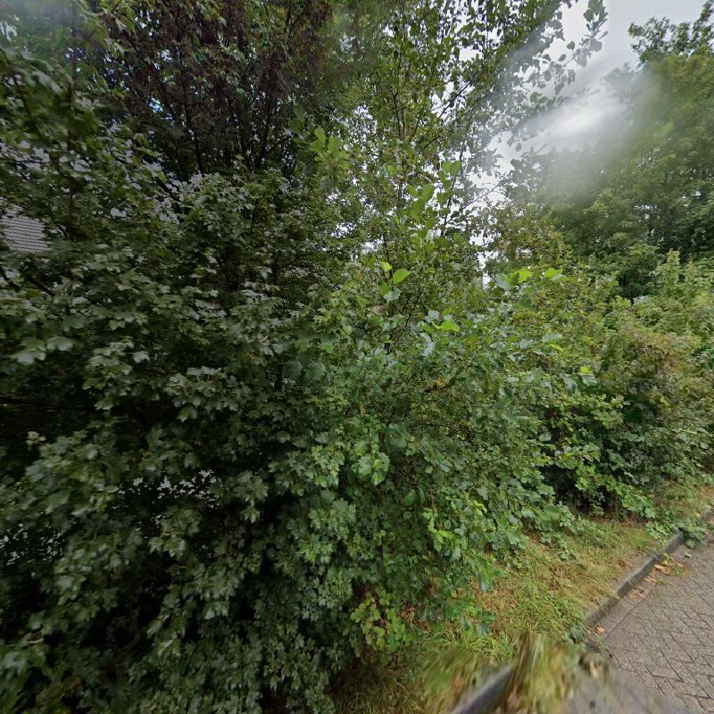 Foto van 't Punt