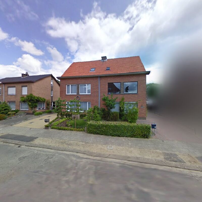Foto van Osteopath Tudor Johnson / Veerle