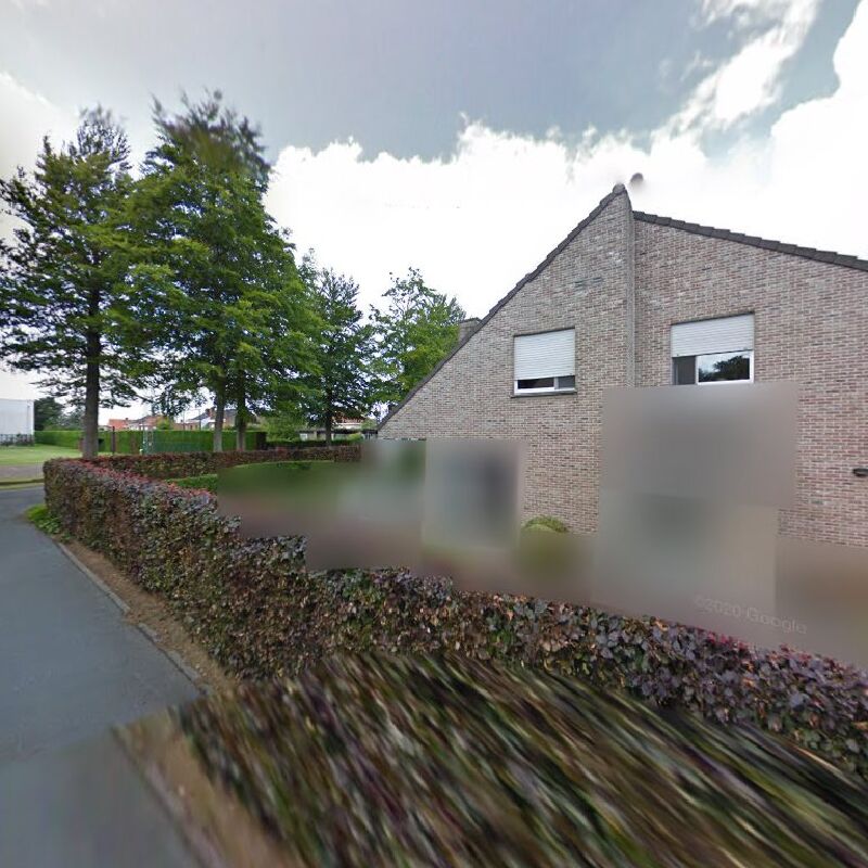 Foto van 't Madeliefje