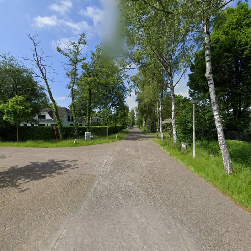 Foto van DVM Maes