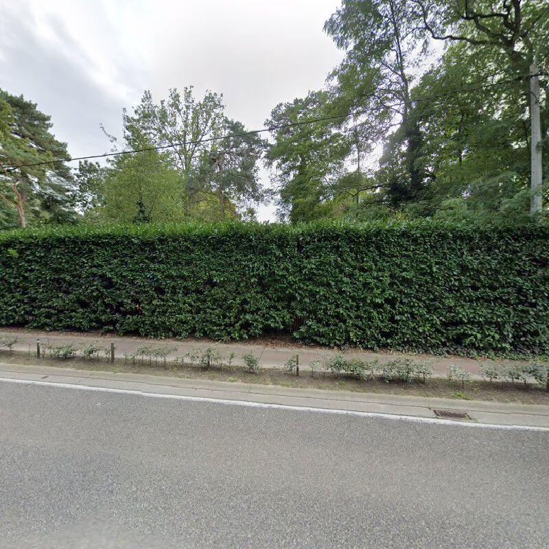 Foto van Dr Nele Vos plastisch chirurg
