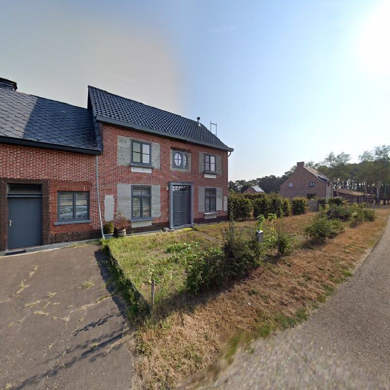 Foto van Plafonto Bvba