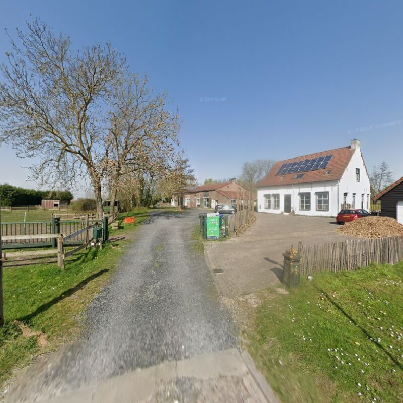 Foto van Kinderopvang Zeeuws Vlaanderen kindercentrum Kidz