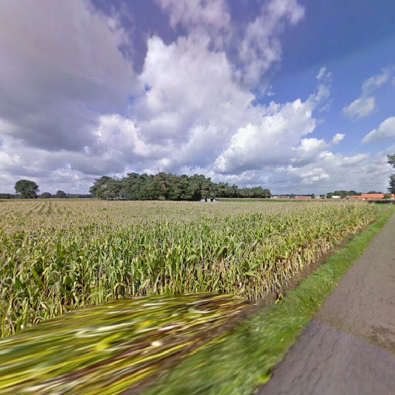 Foto van Algemene dakwerken Van de Poel Luc