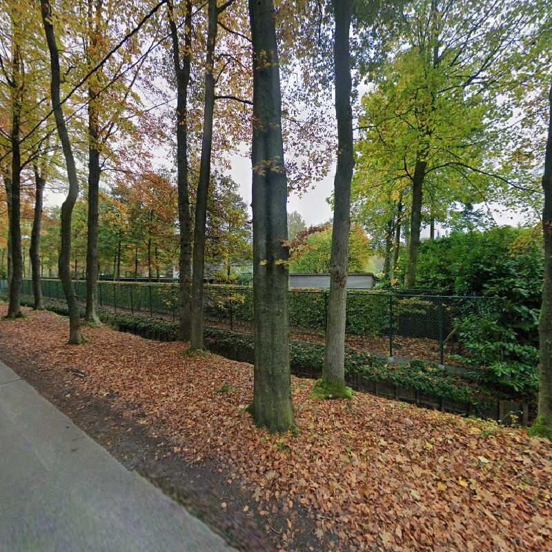 Foto van Gastvrij Brugge
