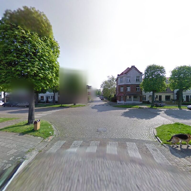 Foto van Scenious