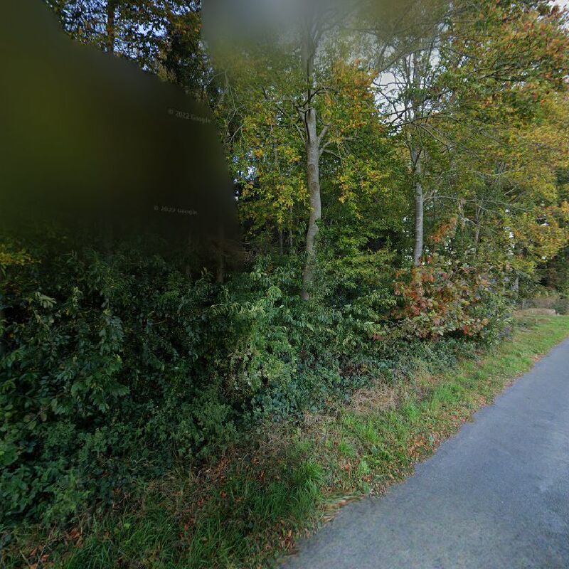 Foto van Samyn Laurent