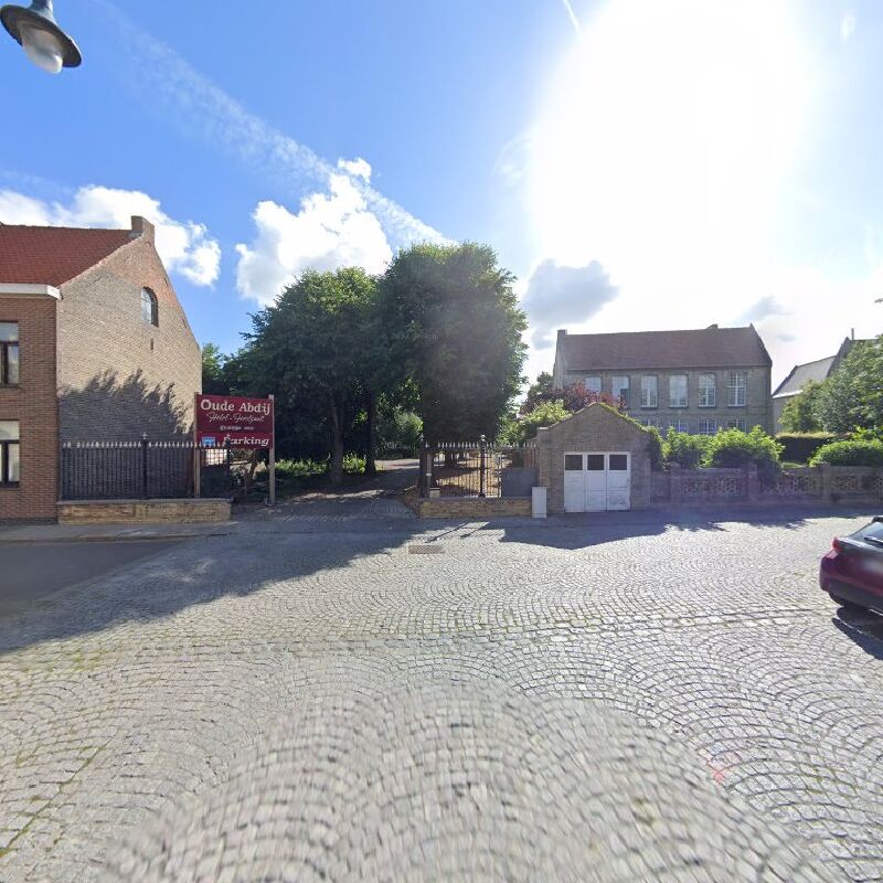Foto van Ijzerster