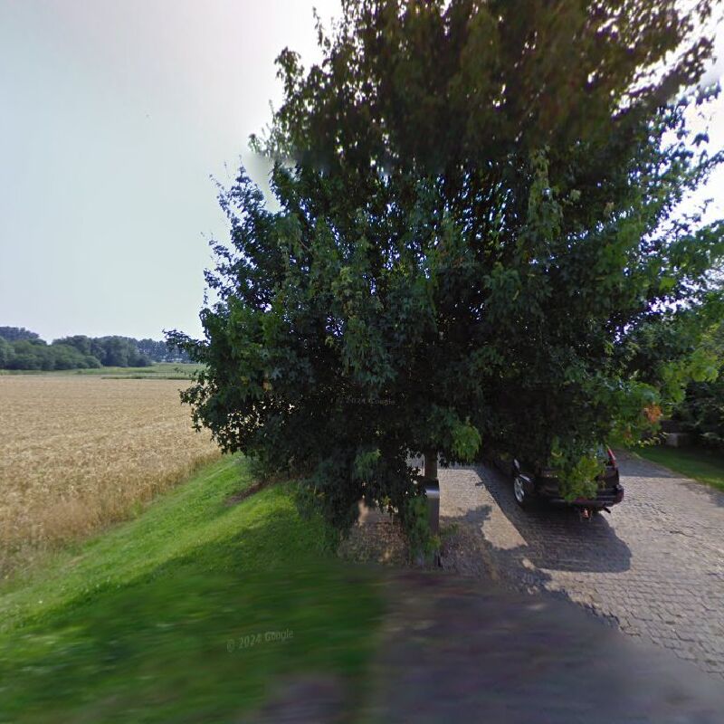 Foto van Ludo Vanherentals
