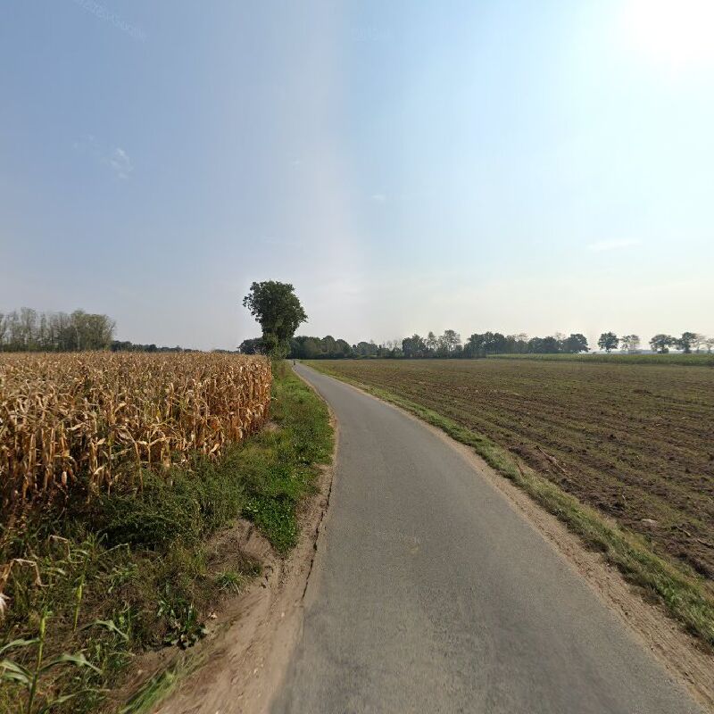 Foto van Schilder Peer
