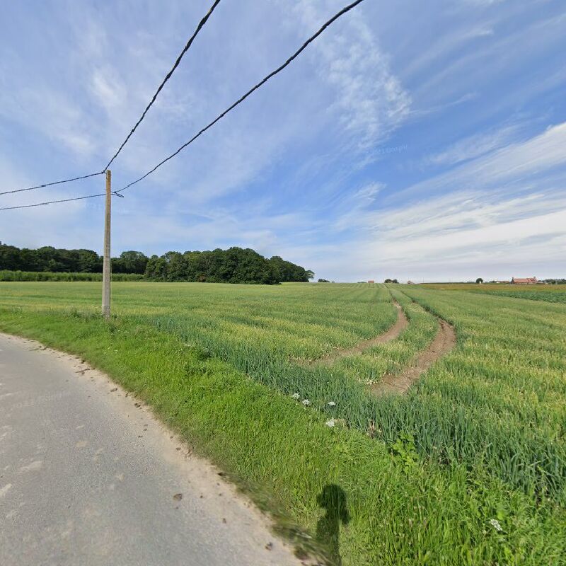 Foto van Tuinen Ghekiere