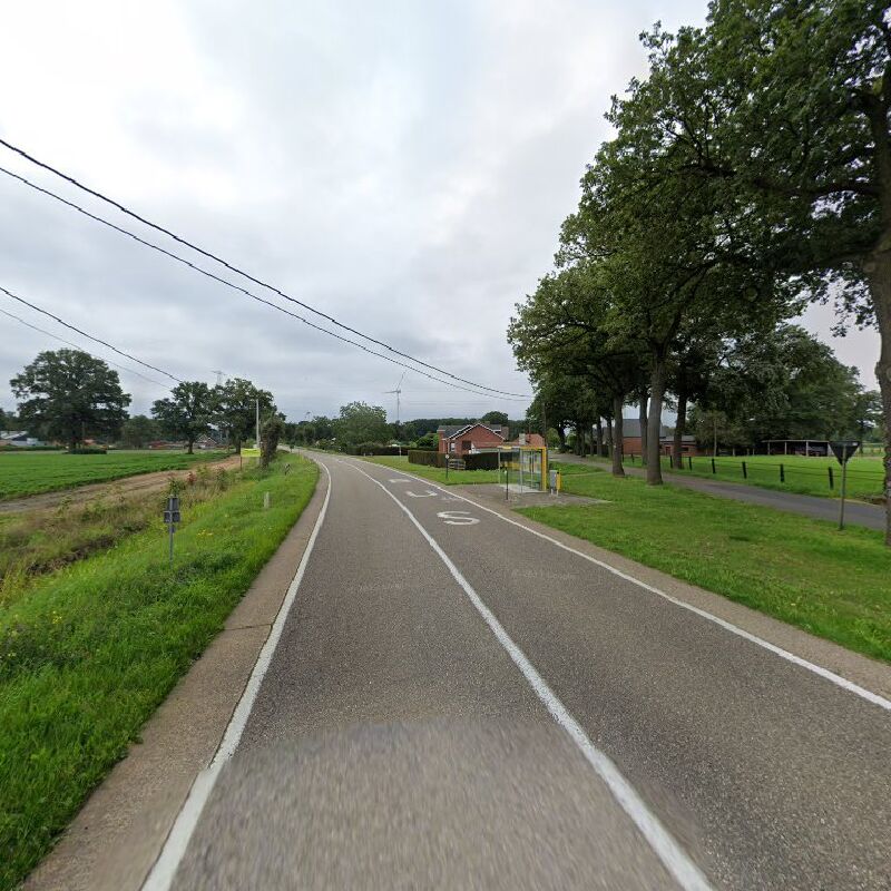 Foto van Meerhout Hepmansbossen