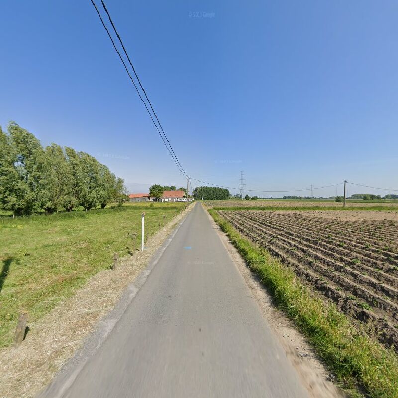 Foto van Immo Eden