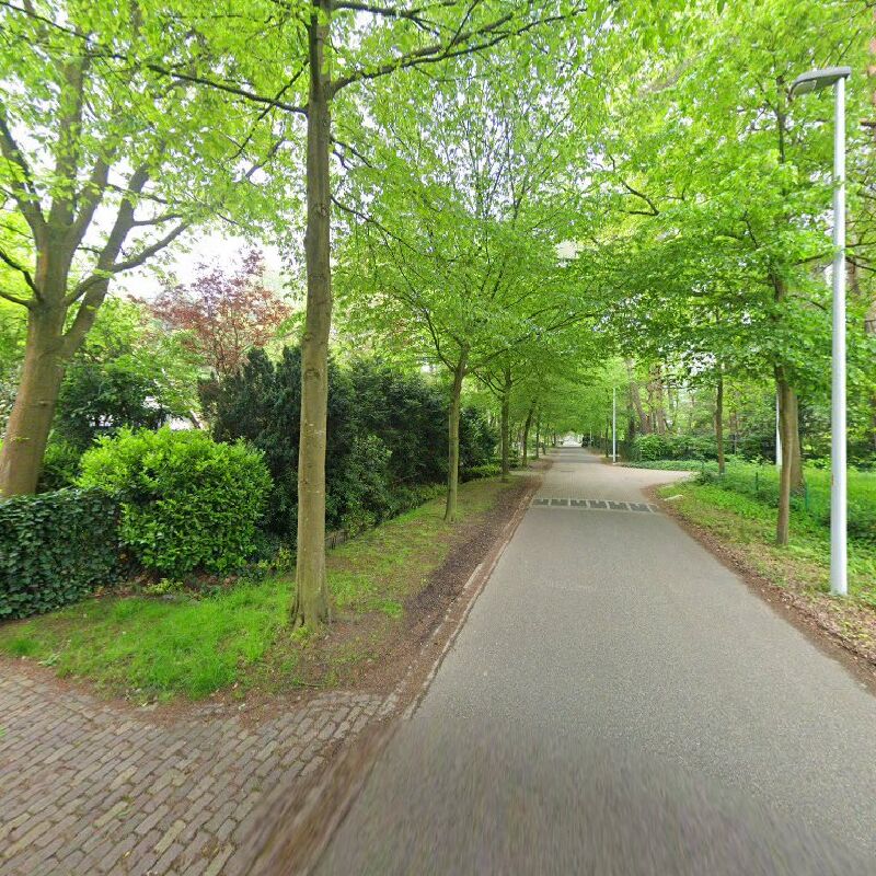 Foto van Callewaert Yves