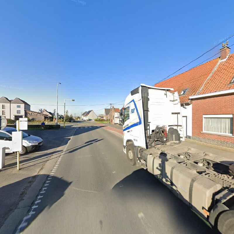 Foto van Ardooie Kruipendaarde