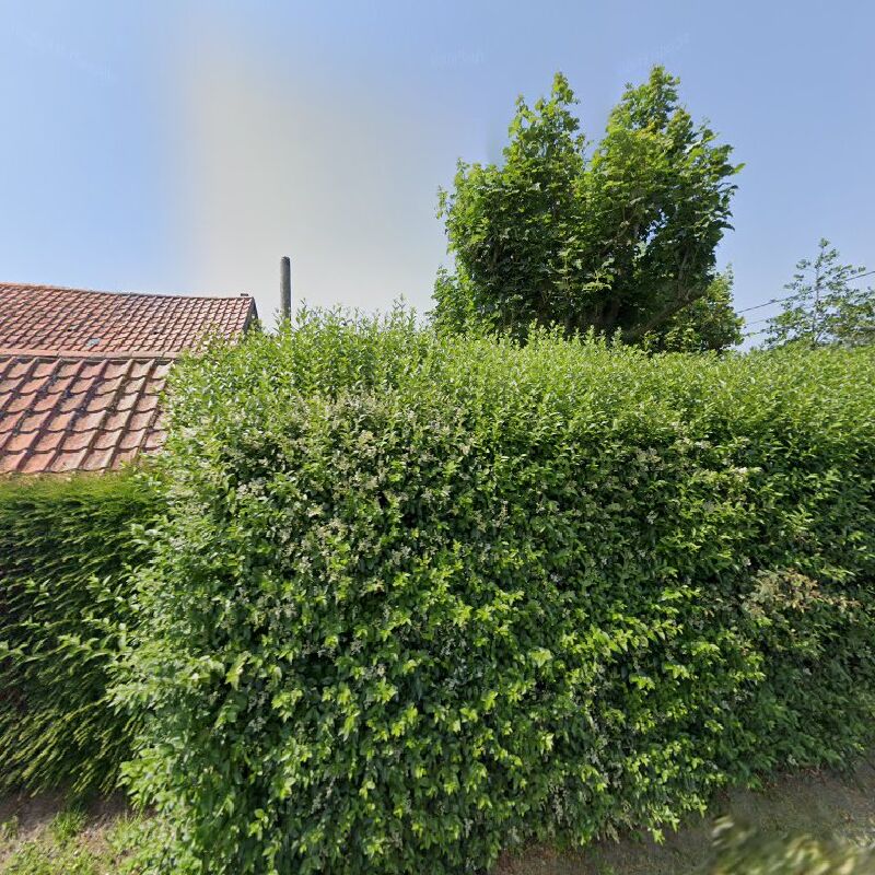 Foto van SPRL Olivier Delbecke