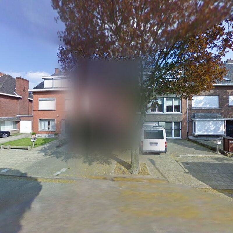 Foto van Languageplay