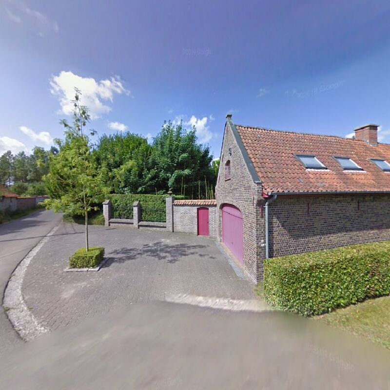 Foto van DE VOS NELE