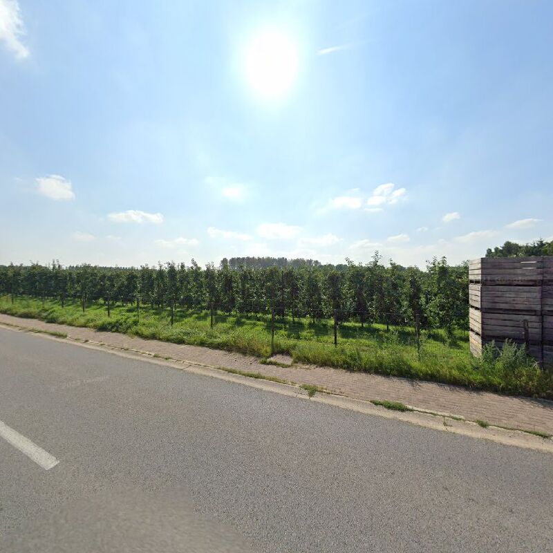 Foto van Halen Ertsenrijkstraat 22