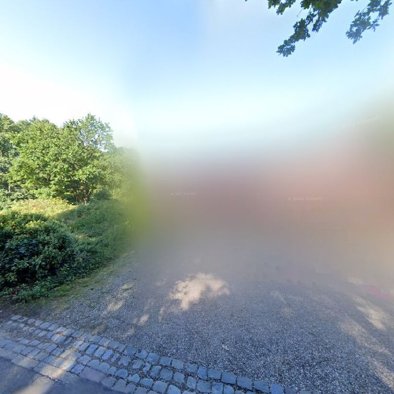 Foto van De Wiekslag