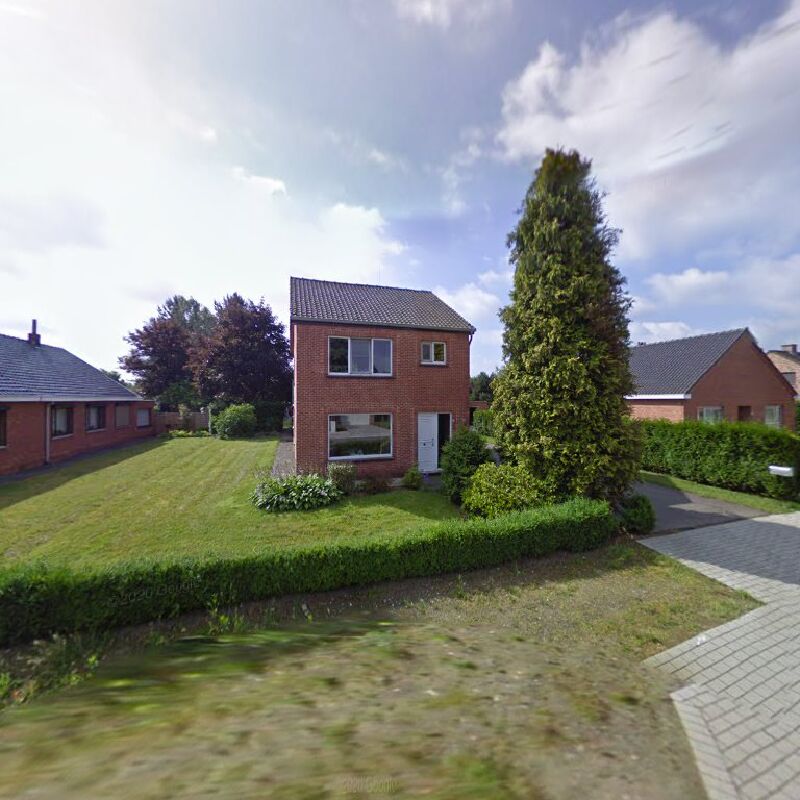 Foto van Roerdompranch