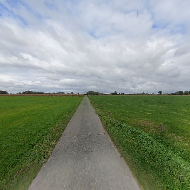 Foto van Instituut voor Patanjala - Yoga Vzw
