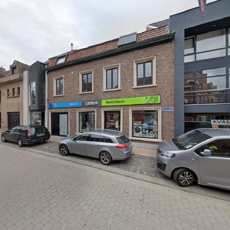 Foto van De vlaming