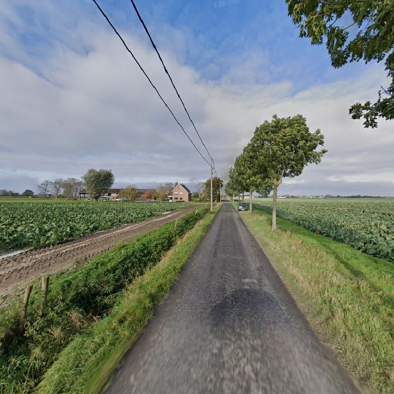 Foto van Rosseel Björn