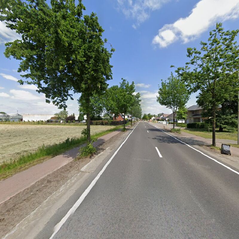 Foto van Rijkevorsel Coolsdreef