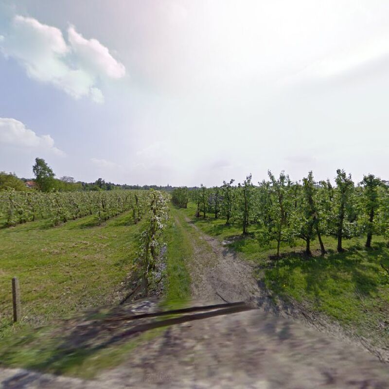 Foto van Groenplanner Mannaerts