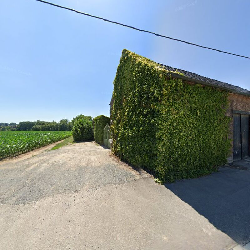 Foto van Dierenartspraktijk Johan Juwet