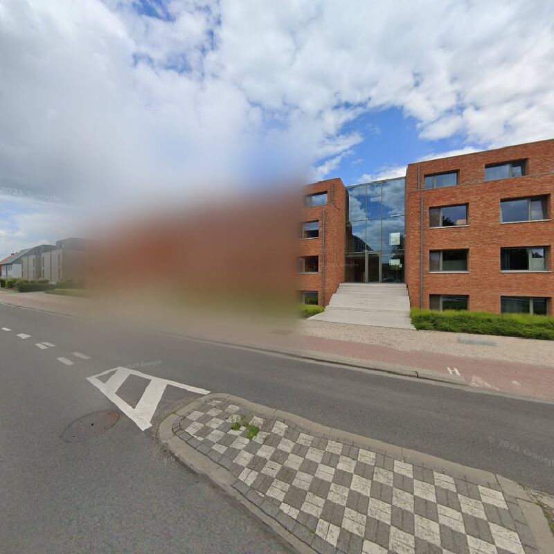 Foto van Zotte Morgen
