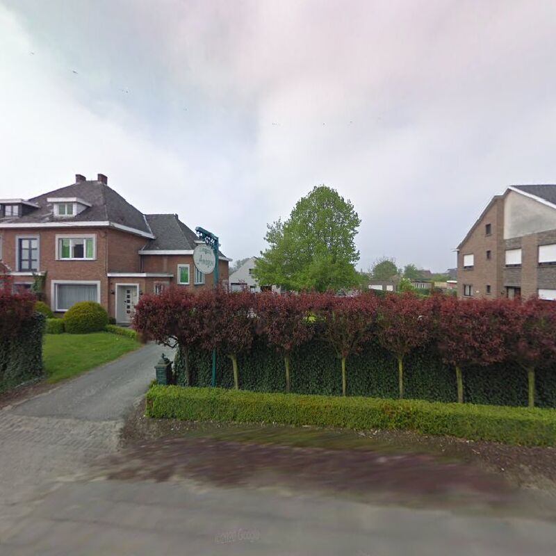 Foto van Amazone