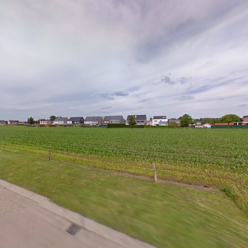 Foto van Speelt