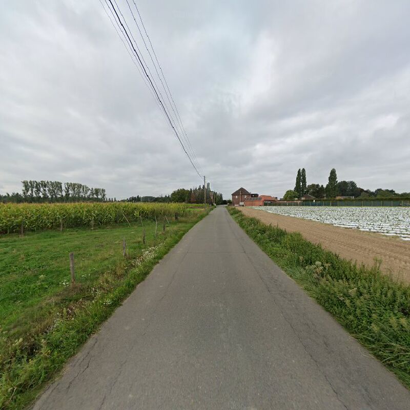Foto van Tim Voets
