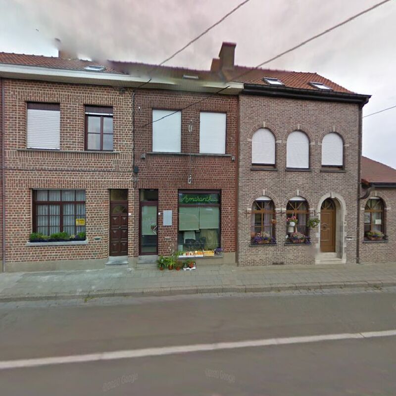 Foto van Amaranthus