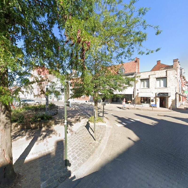 Foto van Wervik Steenakker